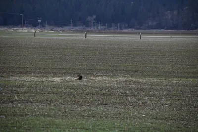 DSC_5864 (Large).JPG